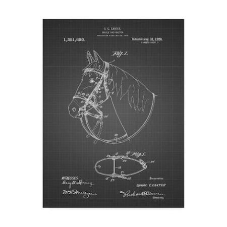 Cole Borders 'Horse Halter' Canvas Art,35x47